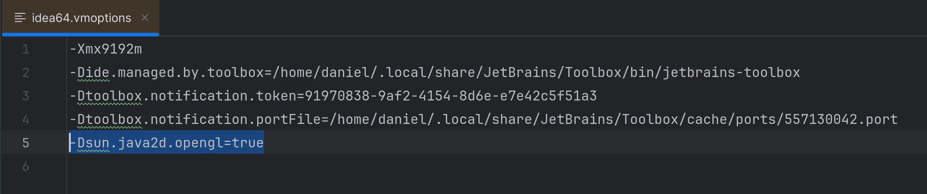 JVM option file in IntelliJ